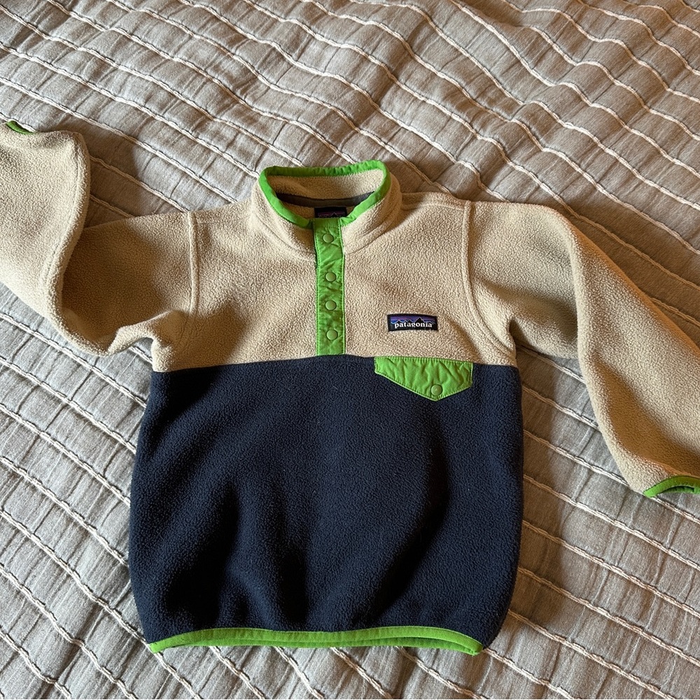 Patagonia Toddler Synchilla Snap-T Fleece Pullover (3T)